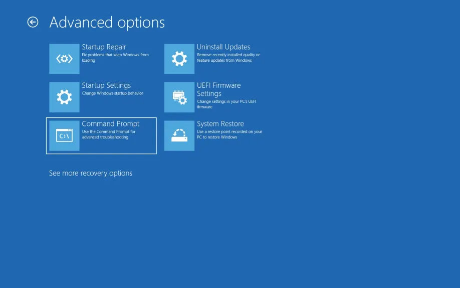 "Advanced options screen in Windows recovery environment showing options for Startup Repair, Startup Settings, Command Prompt, Uninstall Updates, UEFI Firmware Settings, and System Restore.